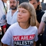 Жалоба в ООН: В тюрьме Тунберг таскали за волосы и заставляли целовать флаг Израиля