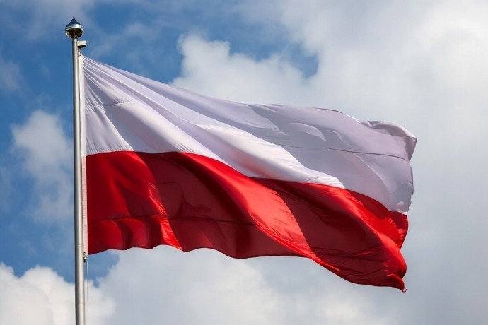 Стало известно, за что Навроцкий потребовал извинений от Туска Стало известно, за что Навроцкий потребовал извинений от Туска