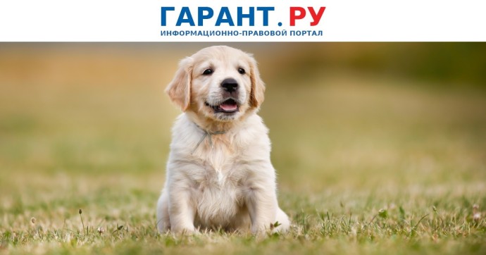 В России появился первый национальный стандарт для площадок выгула собак В России появился первый национальный стандарт для площадок выгула собак