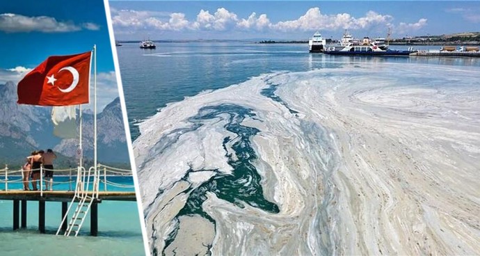 Российских туристов в Турции успокоили: «купаться можно, мерзкой морской слизи будет немного»
