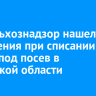 Россельхознадзор нашел 52 нарушения при списании семян под посев в Иркутской области