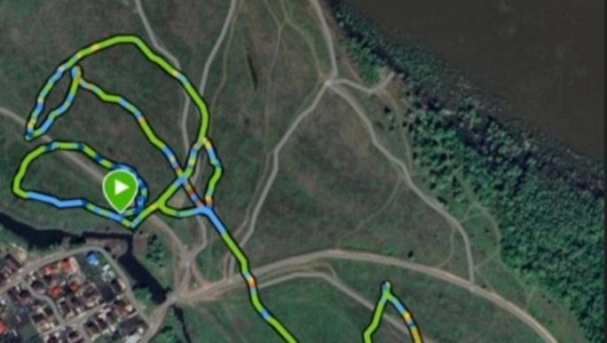 Собаки-спасатели в Башкирии создали GPS-цветок к 8 марта