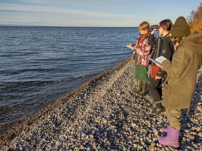 Заповедник Бурятии принял участие в Евразийском учёте птиц