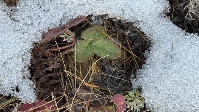Зима в Башкирии будет аномально теплой Зима в Башкирии будет аномально теплой