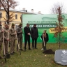 Украину объявили «Зеленой страной»: В Киеве доложили о высадке миллиарда деревьев