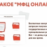 Теперь туляки могут записаться на онлайн-консультацию в МФЦ