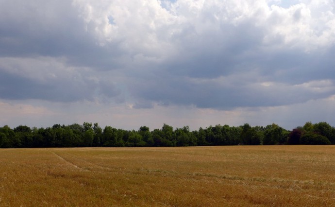 Дождливое воскресенье ждёт Сахалинскую область: прогноз на 22 июня