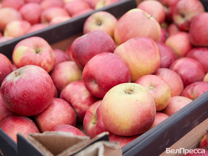 Белгородский губернатор потребовал упорядочить цены на продукты в приграничье