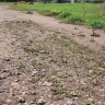 Народный фронт потребовал отремонтировать дорогу в Аргамаково