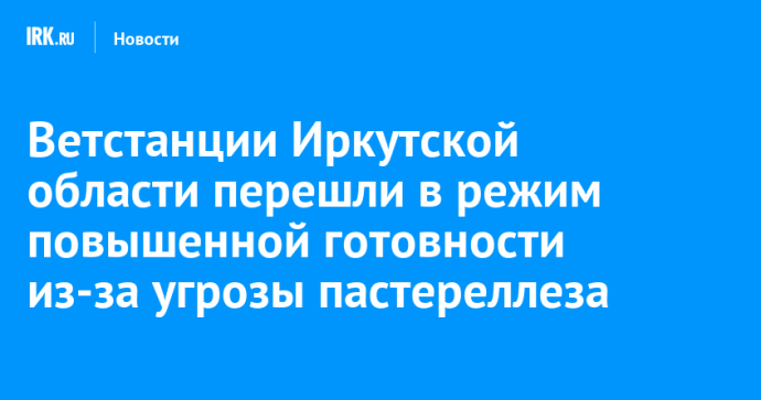Ветстанции Иркутской области перешли в режим повышенной готовности из-за угрозы пастереллеза Ветстанции Иркутской области перешли в режим повышенной готовности из-за угрозы пастереллеза