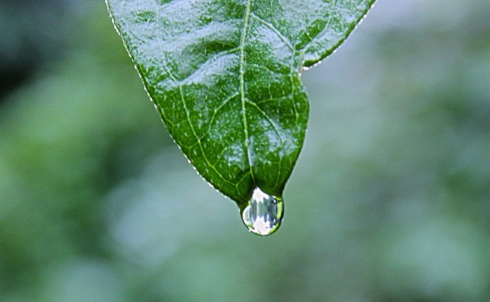 Заметное похолодание и переменчивая погода: прогноз на 8 сентября