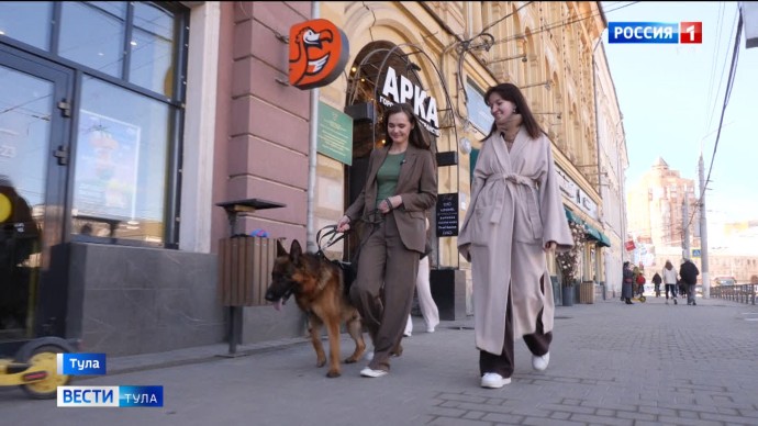 Как правильно посещать с собакой общественные места: советы кинологов