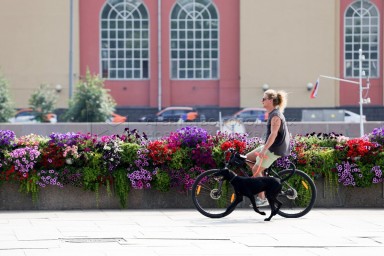 Синоптик Позднякова пообещала москвичам всплеск тепла на выходных