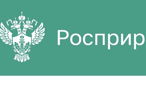 Росприроднадзор через суд взыскивает с коммунального предприятия в Мордовии более 15,7 миллионов рублей задолженности по экологическим платежам