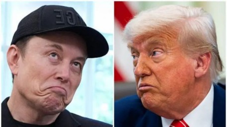 В деле Эпштейна всплыли имена Маска и друзей Трампа