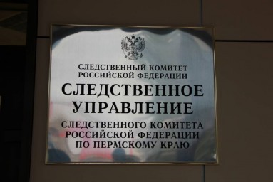В Прикамье следователи возбудили уголовные дела в отношении матерей, истязающих своих детей