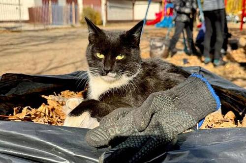 У Тельцов все пойдет не так, Козерогам противопоказаны спешка и азарт