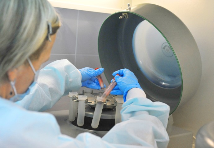 В Щукино ввели карантин по бешенству до 17 января 2026 года