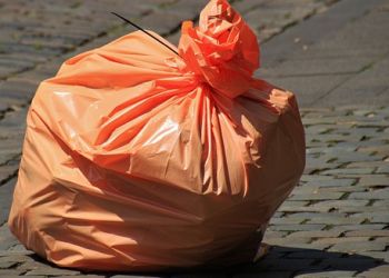 Благовещенец устроил свалку в садовом товариществе