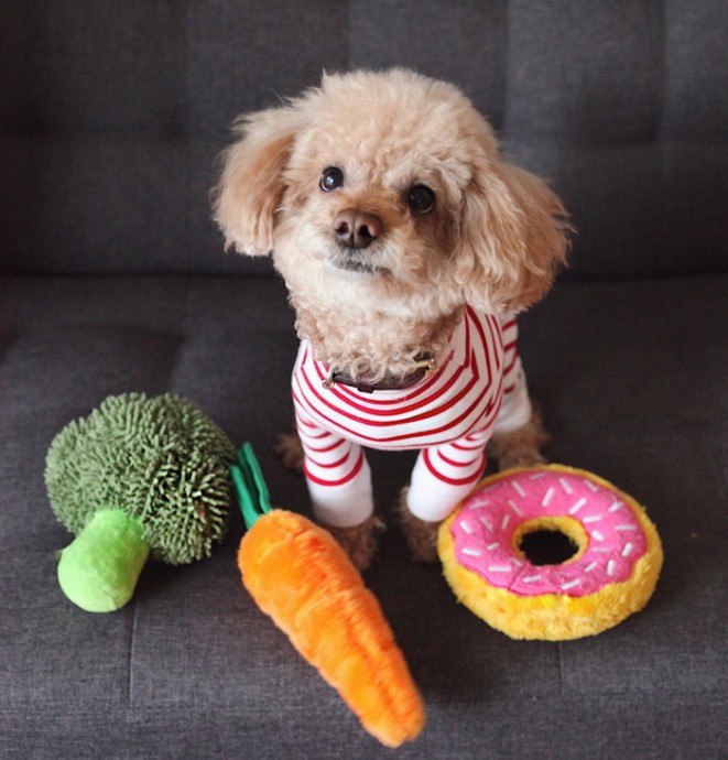 Собаки различают игрушки без слов Собаки различают игрушки без слов