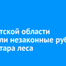 В Иркутской области пресекли незаконные рубки 1,6 гектара леса