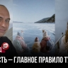 Турист почуял подвох: честный сервис уделал сказочников-перекупов за один сезон
