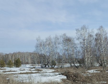 В выходные жителей Башкирии ожидает тёплая погода