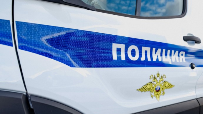Петербурженка заплатит 50 тысяч рублей за удар полицейского