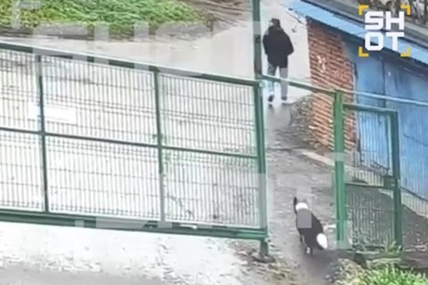 Похищавшую собак семью задержали в Москве Похищавшую собак семью задержали в Москве