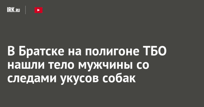 В Братске на полигоне ТБО нашли тело мужчины со следами укусов собак