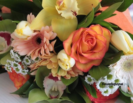 Четыре семьи из Башкирии наградят медалью «Родительская доблесть» Четыре семьи из Башкирии наградят медалью «Родительская доблесть»