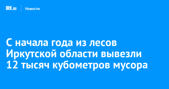 С начала года из лесов Иркутской области вывезли 12 тысяч кубометров мусора