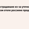 АТОР: пострадавшие из-за утечки хлора в турецком отеле россияне продолжили отдых