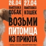 В Москве пройдёт 12-й фестиваль WOOF в поддержку животных из приютов