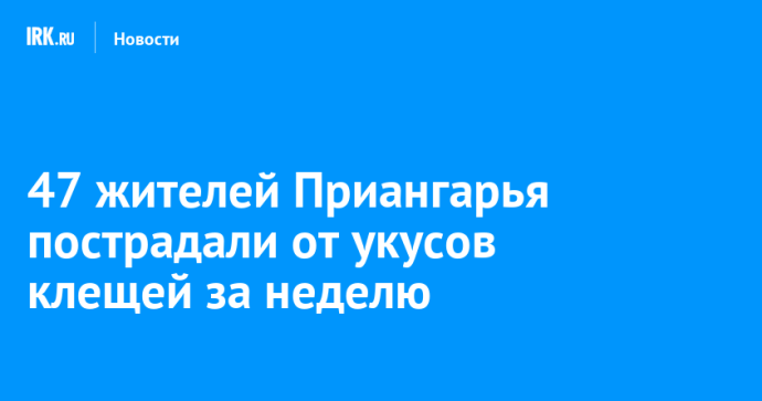 47 жителей Приангарья пострадали от укусов клещей за неделю