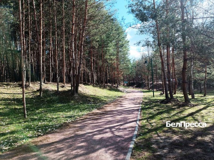 Обработку от клещей в Белгородской области завершат к 1 мая