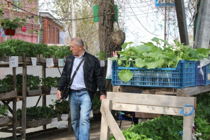 Что нельзя делать на даче в этом сезоне, чтобы не получить штраф