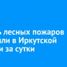 Восемь лесных пожаров потушили в Иркутской области за сутки