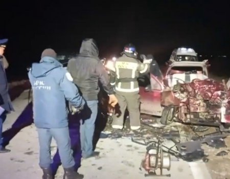 В Башкирии в жутком ДТП погибли три человека В Башкирии в жутком ДТП погибли три человека