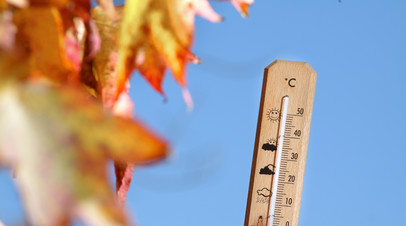 Синоптик Ильин: в столичном регионе может потеплеть до +11 °С