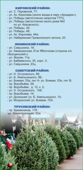 Более 20 точек: в Астрахани стартует продажа новогодних ёлок