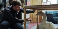 Из Астрахани в Калининград: как Александр Алымов готовит фестиваль «Открытое море»