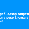 Роспотребнадзор запретил купаться в реке Еловка в Ангарске