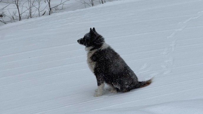 В Башкирии удивили прогнозом на новогодние каникулы В Башкирии удивили прогнозом на новогодние каникулы