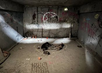 Нанесли надписи и принесли трупы собак: «комнату страха» в недострое Благовещенска устроили четверо подростков