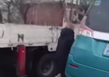 В Благовещенске на видео сняли реакцию пьяной автоледи на эвакуацию машины