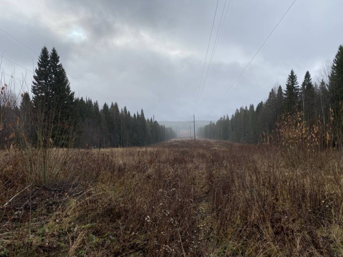 В Юсьвинском округе зафиксирован разлив нефтепродуктов В Юсьвинском округе зафиксирован разлив нефтепродуктов