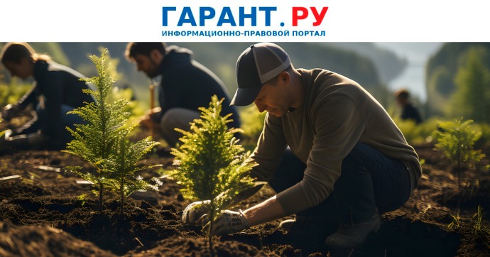 Неверный учет расходов на озеленение придорожной полосы может грозить штрафом Неверный учет расходов на озеленение придорожной полосы может грозить штрафом