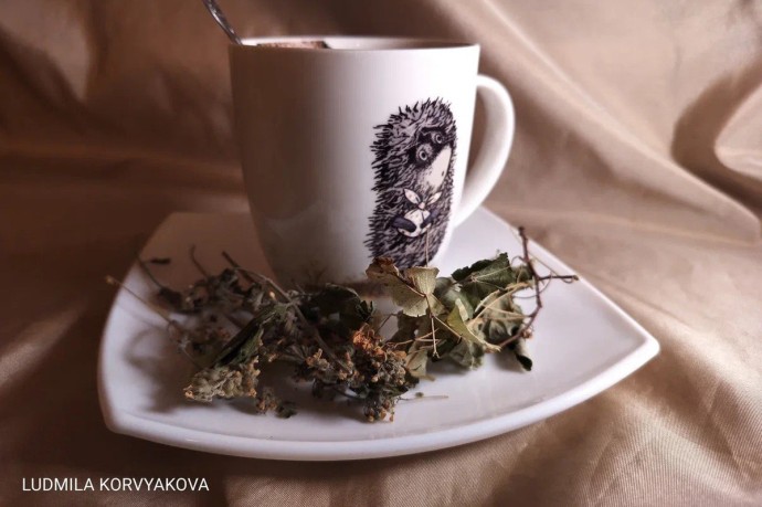 Чай на голодный желудок ведет к гастриту и язве, предупреждают карельские гастроэнтерологи