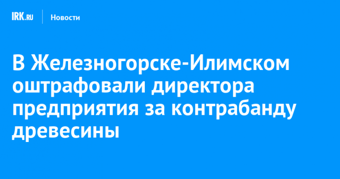 В Железногорске-Илимском оштрафовали директора предприятия за контрабанду древесины